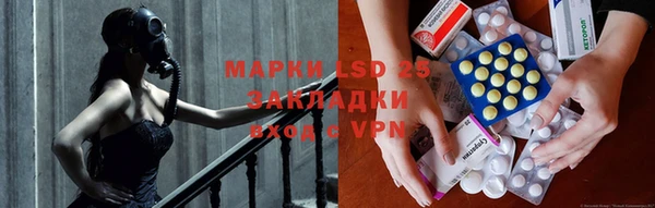 ECSTASY Белокуриха