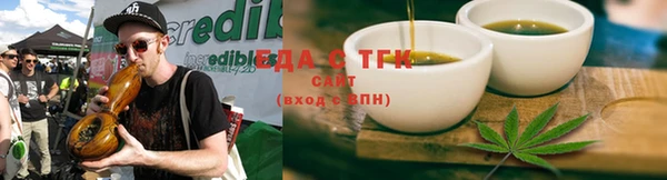 ECSTASY Белокуриха