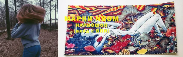 ECSTASY Белокуриха