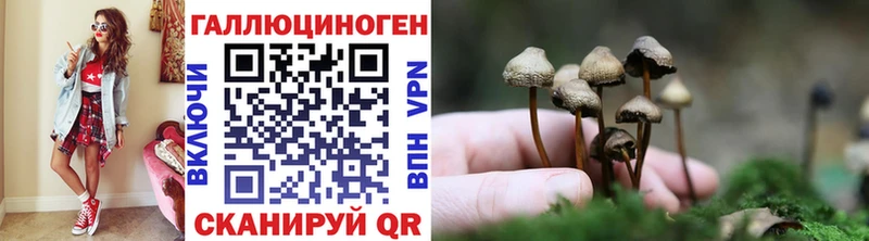 Псилоцибиновые грибы MAGIC MUSHROOMS  цены наркотик  darknet наркотические препараты  Тында 